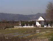 Quartell